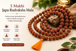 Original 5 Mukhi Japa Rudraksha Mala