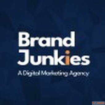 The Brand Junkies Digital Marketing Agency in Rohtak