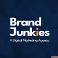 The Brand Junkies Digital Marketing Agency in Rohtak
