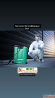 Pest Control Service Mahipalpur Delhi