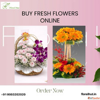 Buy Fresh Flowers Online for Every Special Occasion