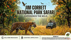 Planning Your Ultimate Jim Corbett National Park Safari