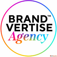 Software Development Company in Hyderabad - Brandvertise