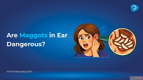 Maggots in Ear Causes Symptoms Treatment Hearzap
