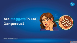 Maggots in Ear Causes Symptoms Treatment Hearzap