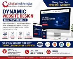 Dynamic Website Design Company in Delhi for Professional Bus...