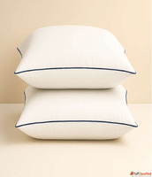 Buy ZenAlyaa Egyptian Cotton Pillowcase With Pure Piping in ...