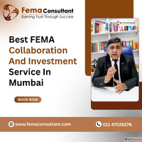 Trusted FEMA Collaboration And Investment Service in Mumbai ...