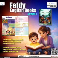 Best Kindergarten Curriculum and Primary Curriculum