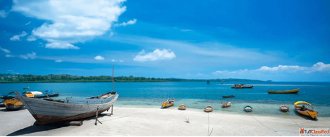 Customized Andaman Tour Packages for Your Travel Style