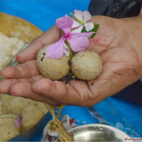 Pind Daan Puja Gaya Ji - Pind Daan Shraddh Rituals