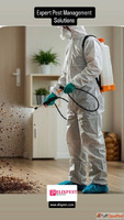 How to Hire Pest Control Service in Byculla Mumbai