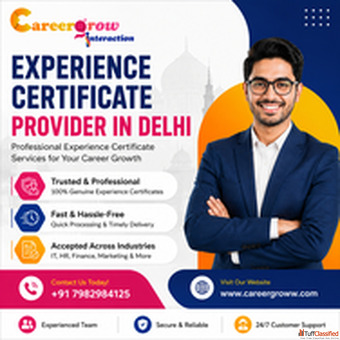 Trusted Experience Certificate Provider for IT Professionals