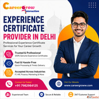 Trusted Experience Certificate Provider for IT Professionals