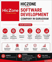 HicZone - Leading Software Development Company in Gurugram