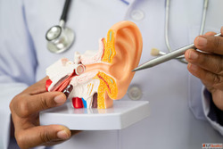 Expert ENT Surgeon in Ahmedabad