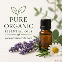 Pure Organic Essential Oils Wholesale Arormaaz Oils
