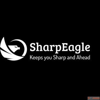 SharpEagle ForkView Camera System Advanced Forklift Visibility Safety Solution