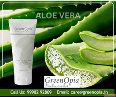 Why Your Oily Skin Needs Aloe Vera in a Green Tea Face Wash ...