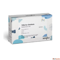 Vibrio PCR Kit for Reliable Vibrio Cholerae Detection Seqlo