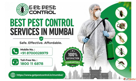 Best Pest Control Services in Mumbai Free Quotes