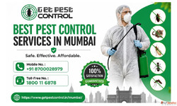Best Pest Control Services in Mumbai Free Quotes