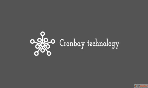 Leading SEO Company In Bangalore Cronbay Technologies