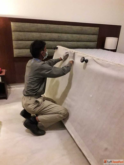 Bed Bug Removal Services in South Delhi Pest Cure