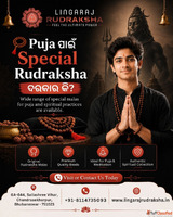 Certified Rudraksha Shop in Bangalore