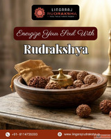 Trusted Rudraksha Shop in Kolkata