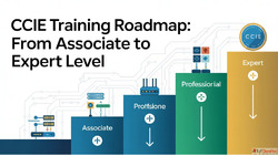 Best CCIE Training Online Cisco CCIE Certification Course