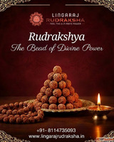 Best Rudraksha Shop in Bangalore Buy Original Rudraksha Onli...