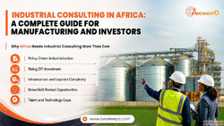 Industrial Consulting in Africa Expert Industrial Consultanc...