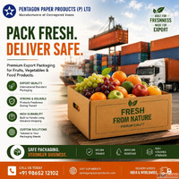 Premium Export Packaging Deliver Safe