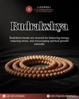 Trusted Rudraksha Shop in Kolkota