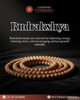 Trusted Rudraksha Shop in Kolkota