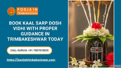 Book Kaal Sarp Dosh Vidhi With Proper Guidance In Trimbakesh...