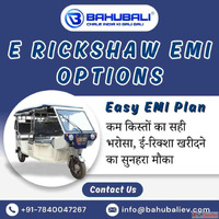 E Rickshaw EMI Options