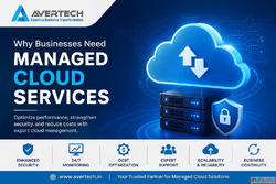 Hosting Service providers in Noida - Avertech