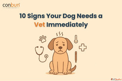 10 Signs Your Dog Needs a Vet Immediately