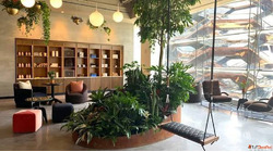 Why Third Spaces Matter For Better Communities And Urban Liv...
