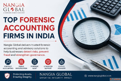 Top Forensic Accounting Firms in India Nangia Global