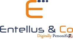 Top Digital Marketing Company in Bangalore - Entellusco