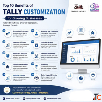 Top 10 Benefits of Tally Customization for Growing Businesses