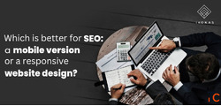 Custom Software and Web Development Services Expert Agency