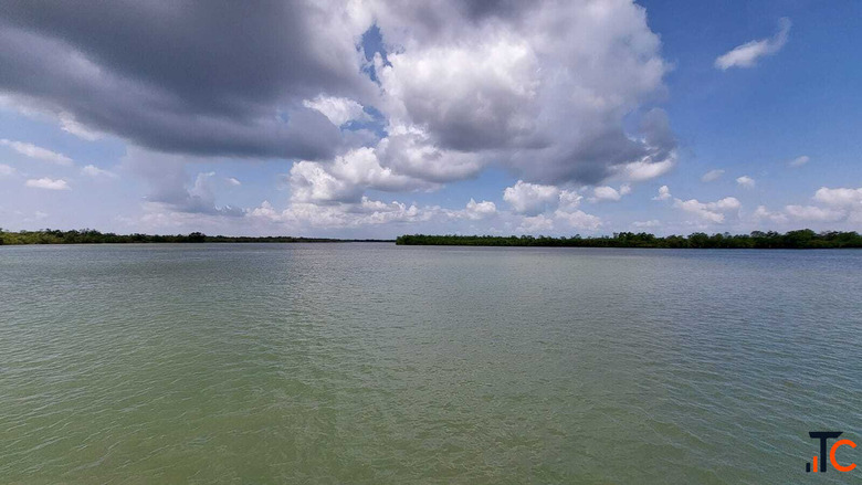 Sundarban Wildlife Photography Tour