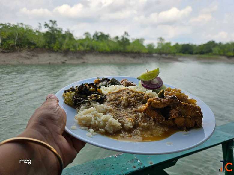 Sundarban Wildlife Photography Tour