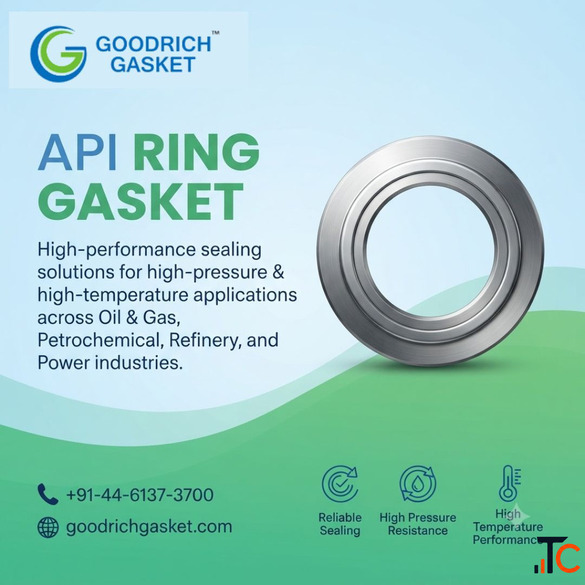 API Ring Gasket for Oil and Gas Industry