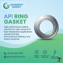 API Ring Gasket for Oil and Gas Industry