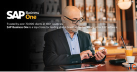 SAP license cost